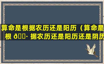 算命是根据农历还是阳历（算命是根 🕷 据农历还是阳历还是阴历）